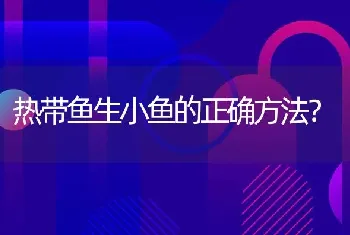 热带鱼生小鱼的正确方法？