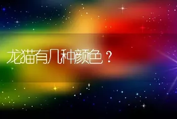 龙猫有几种颜色？