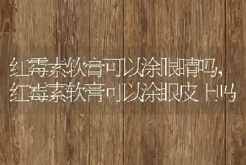 红霉素软膏可以涂眼睛吗，红霉素软膏可以涂眼皮上吗