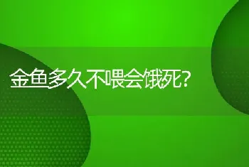 金鱼多久不喂会饿死？