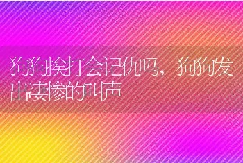 狗狗挨打会记仇吗，狗狗发出凄惨的叫声