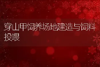 穿山甲饲养场地建造与饲料投喂