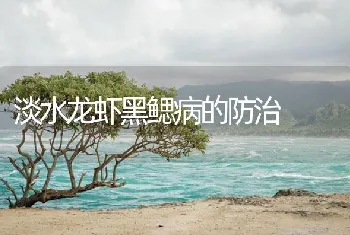 淡水龙虾黑鳃病的防治