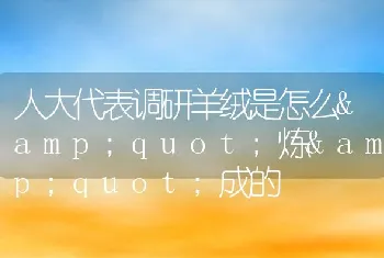 人大代表调研羊绒是怎么炼成的