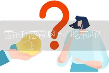 雪纳瑞感冒呕吐不吃东西？