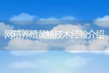 网箱养殖黄鳝技术经验介绍