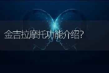 金吉拉摩托功能介绍？