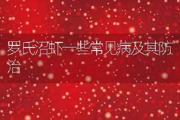 罗氏沼虾一些常见病及其防治