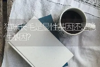 猫咪长毛是显性基因还是隐性基因？