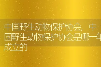 中国野生动物保护协会，中国野生动物保护协会是哪一年成立的