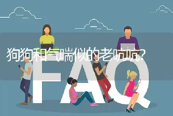 狗狗和气喘似的老吭吭？