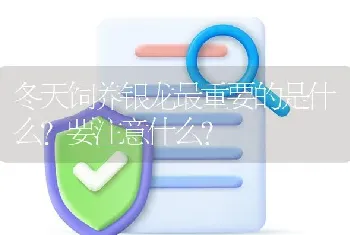 冬天饲养银龙最重要的是什么？要注意什么？