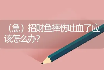 （急）招财鱼摔伤吐血了应该怎么办？