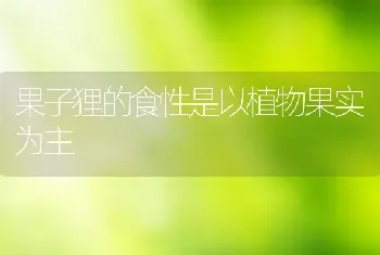 果子狸的食性是以植物果实为主