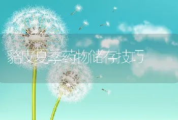 貉皮夏季药物储存技巧