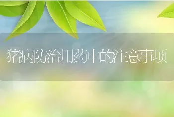 猪病防治用药中的注意事项