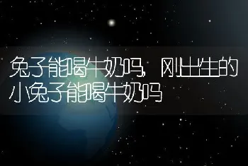 兔子能喝牛奶吗，刚出生的小兔子能喝牛奶吗