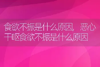 食欲不振是什么原因，恶心干呕食欲不振是什么原因