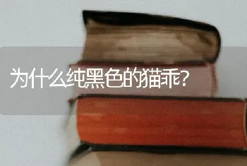 为什么纯黑色的猫乖？