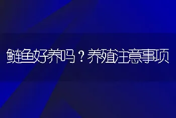 鲢鱼好养吗？养殖注意事项