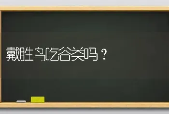 戴胜鸟吃谷类吗？