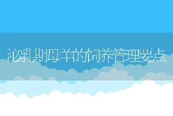 浙江大学开发出安全高效优质纳米型饲料添加剂