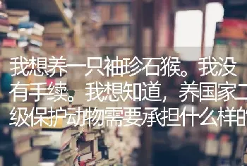 我想养一只袖珍石猴。我没有手续。我想知道，养国家二级保护动物需要承担什么样的法律责任？