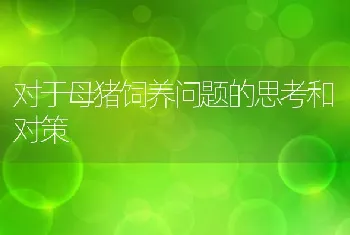 对于母猪饲养问题的思考和对策