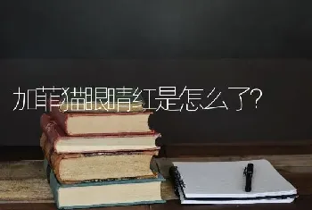 大人被狗惊吓会有什么表现和后果？