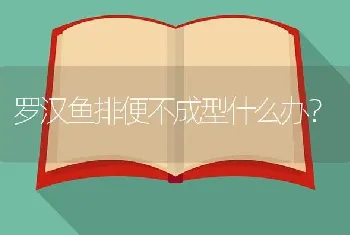 迷你鹦鹉卵几天能从罐壁上掉下来？