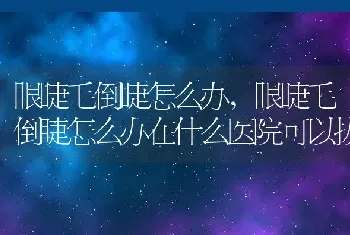 眼睫毛倒睫怎么办，眼睫毛倒睫怎么办在什么医院可以拔