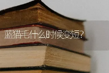 蓝猫毛什么时候变短？