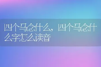 四个马念什么，四个马念什么字怎么读音