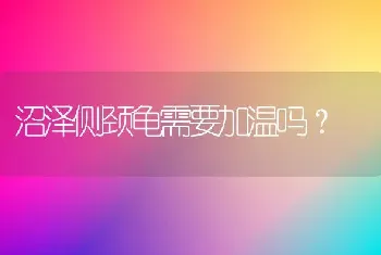 沼泽侧颈龟需要加温吗？