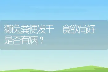 獭兔粪便发干食欲尚好是否有病？