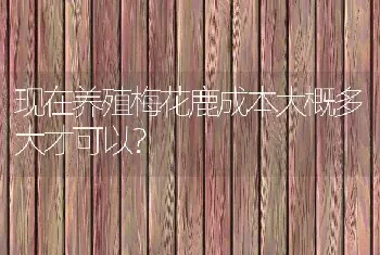 现在养殖梅花鹿成本大概多大才可以？