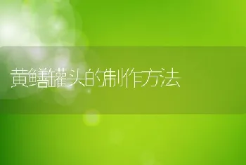 黄鳝罐头的制作方法