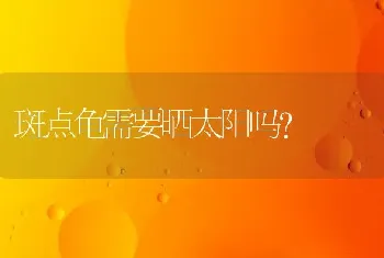 天罗地网贼难防代表什么生肖？