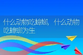 什么动物吃蟑螂，什么动物吃蟑螂为生