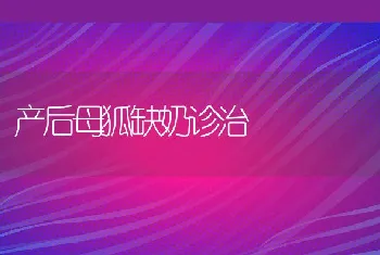 产后母狐缺奶诊治