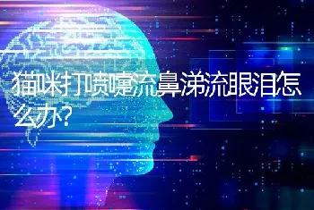 猫咪打喷嚏流鼻涕流眼泪怎么办？