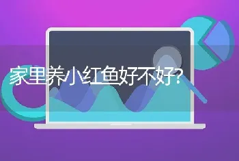 家里养小红鱼好不好？