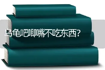 乌龟吧唧嘴不吃东西？