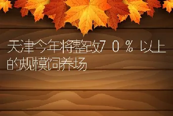 天津今年将整改70%以上的规模饲养场