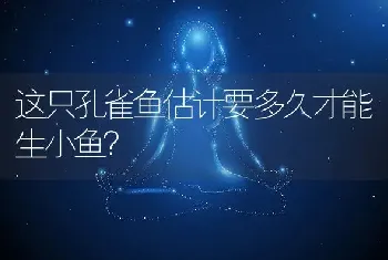 这只孔雀鱼估计要多久才能生小鱼？