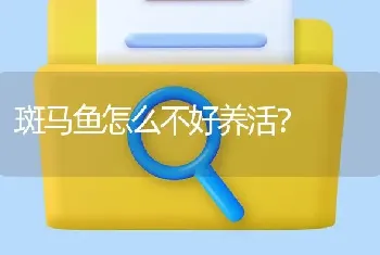 斑马鱼怎么不好养活？