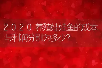 2020养殖娃娃鱼的成本与利润分别为多少？