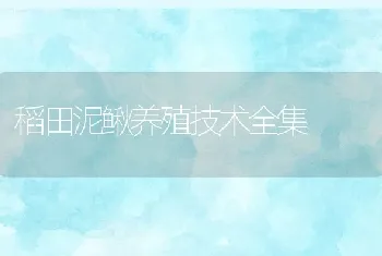 稻田泥鳅养殖技术全集