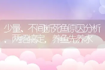 少量、不间断死鱼原因分析，两招搞定，养鱼先养水