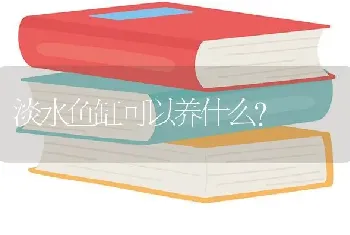 淡水鱼缸可以养什么？